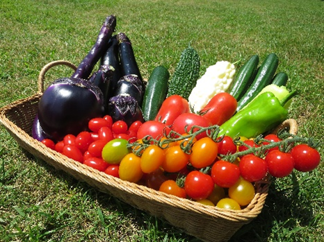 4/26（日）カブレラ農園長・ふろん太農園長代理と夏野菜を植えよう!! 「夏野菜植え付けイベント」参加者大募集!!